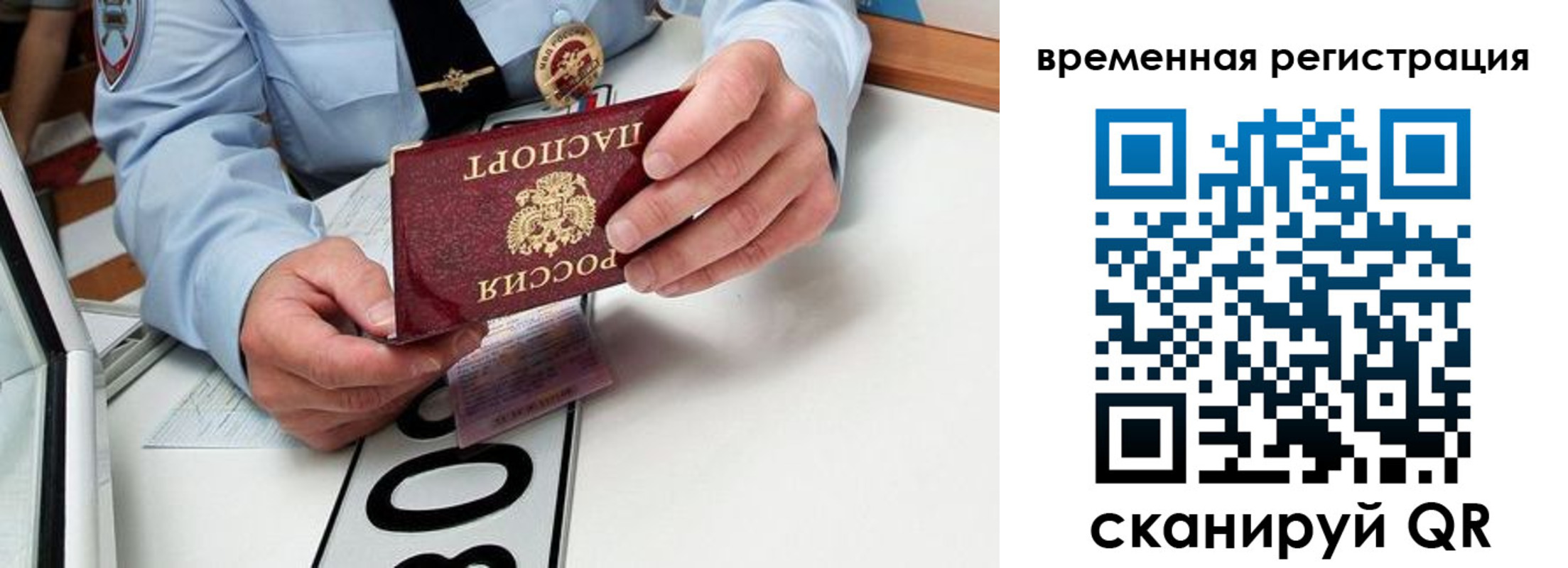 прописка гарантия в Тамбовской области